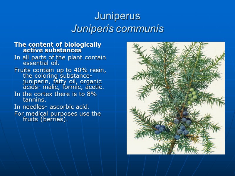 Juniperus  Juniperis communis The content of biologically active substances In all parts of